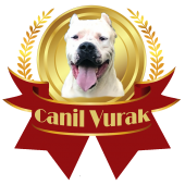 Canil Vurak